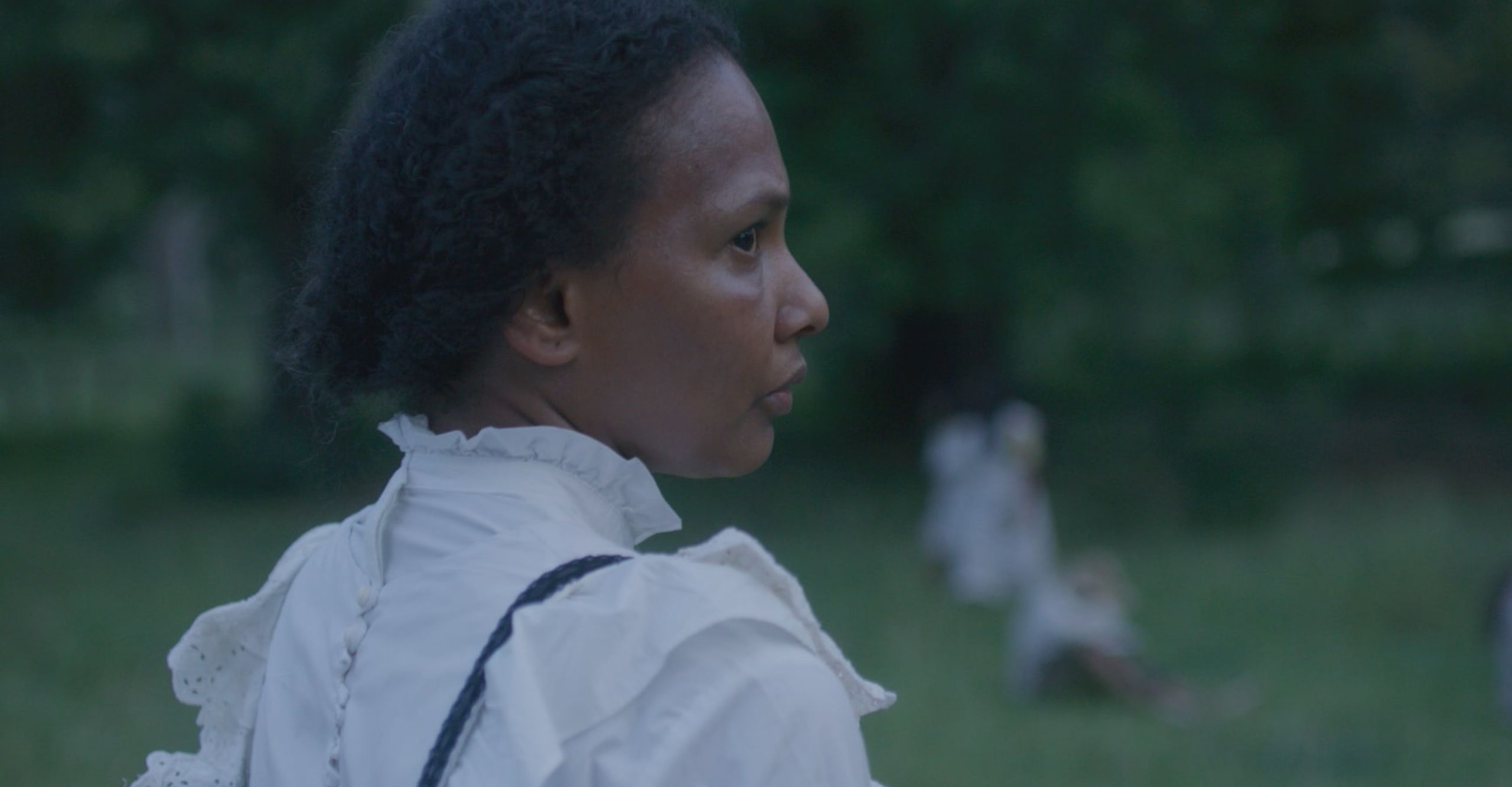 Producción y distribución de cine.